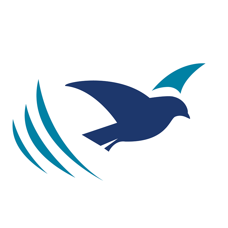 True Jesus Church in Dallas logo