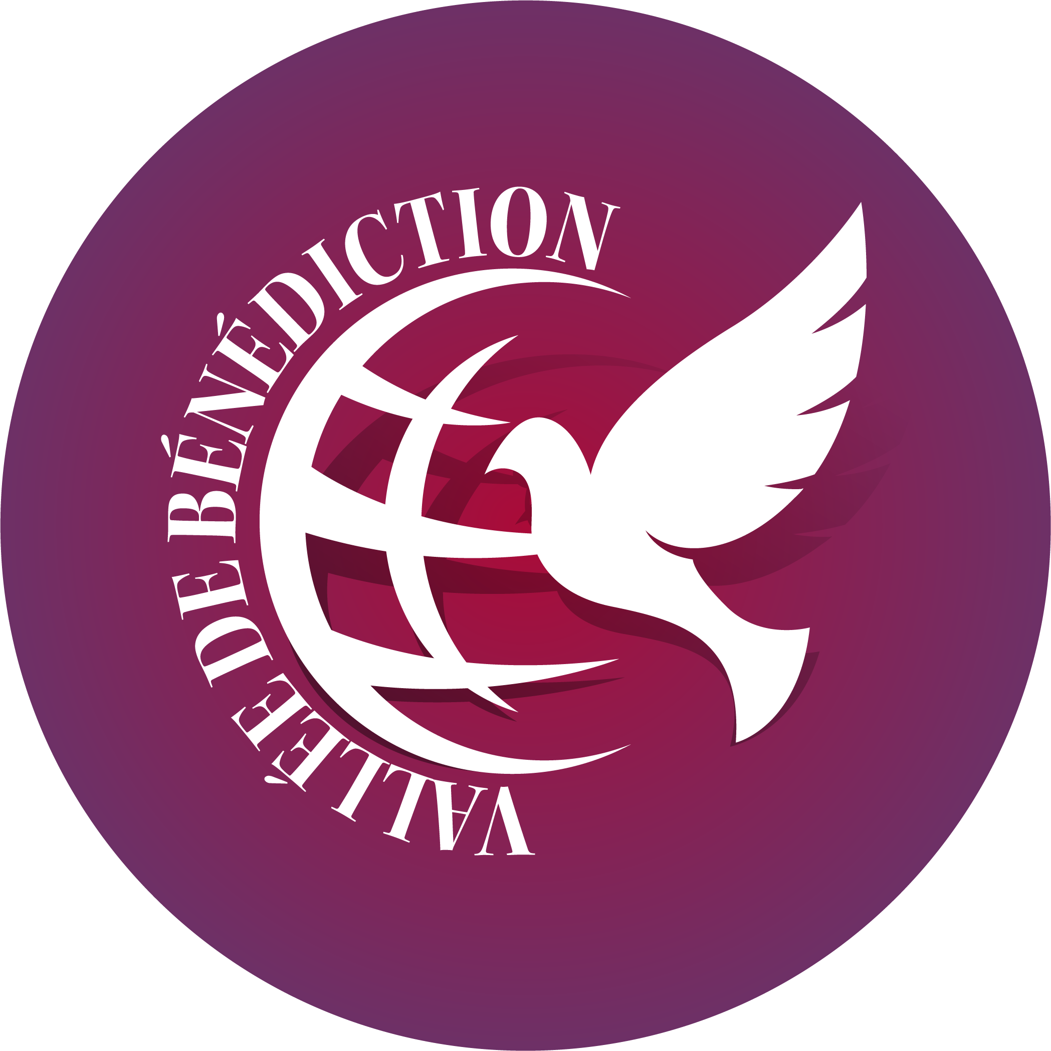 Valley of Blessing Ministry logo